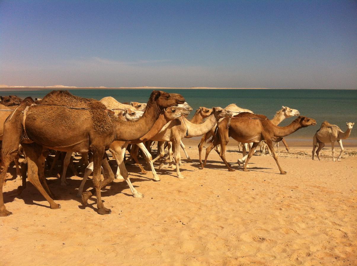 Hotel Sahel Nuadibú Exterior foto